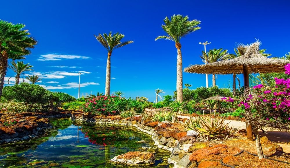 web_Fuerteventura_Costa-Calma_Allsun-Barlovento7